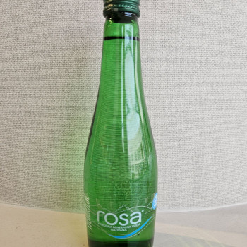 Rosa gazirana